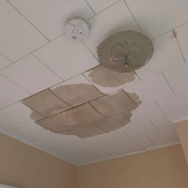 Ceiling Water Damage Repair in Canton, ME