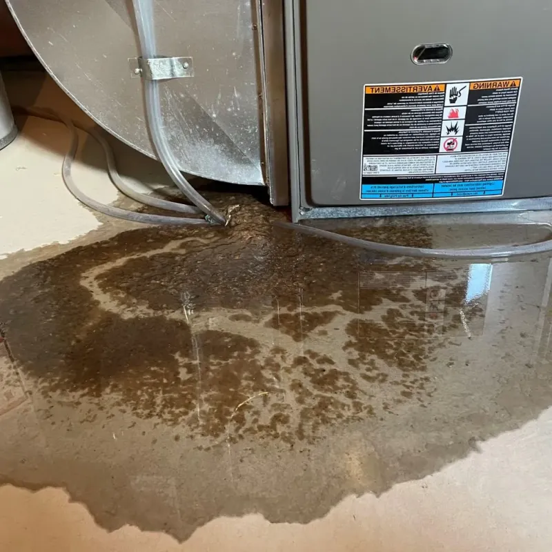 Pipe Burst and Leak Restoration in Canton, ME